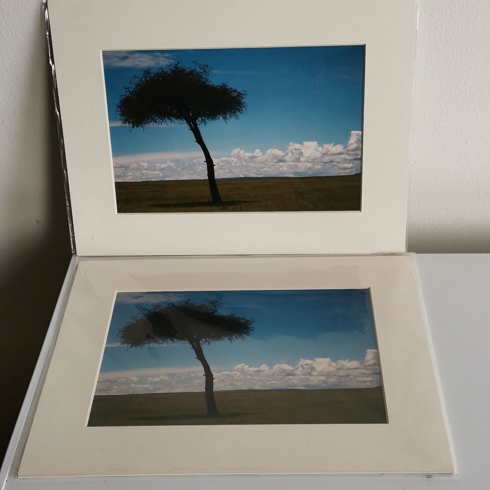 NWOT Home Art Set of 2 - Picture 2 of 3